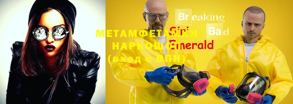 ПСИЛОЦИБИНОВЫЕ ГРИБЫ Бородино