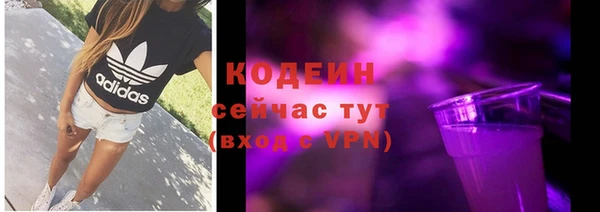 ПСИЛОЦИБИНОВЫЕ ГРИБЫ Бородино