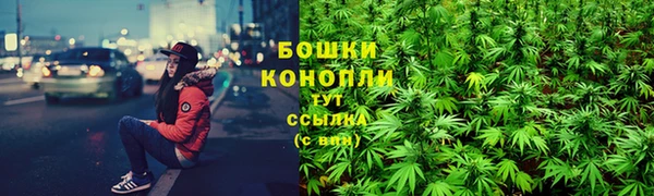гидропоника Богородицк