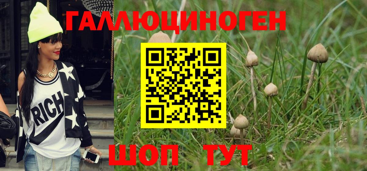 Псилоцибиновые грибы ЛСД Бугуруслан